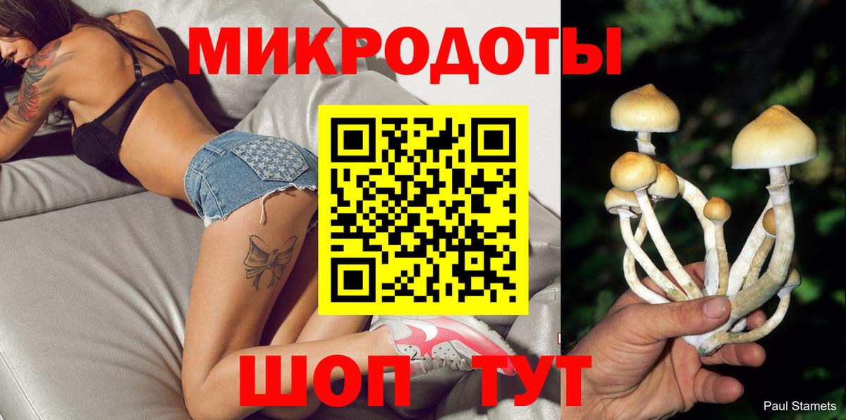 Псилоцибиновые грибы Psilocybine cubensis Гусь-Хрустальный