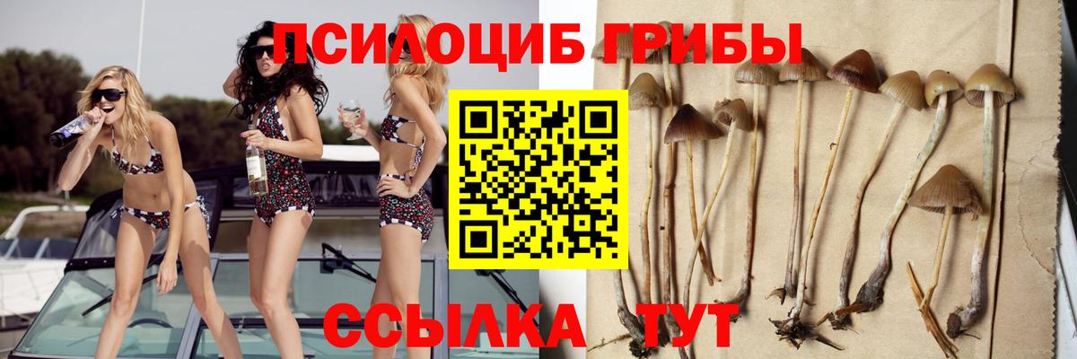 купить наркотик  Псилоцибиновые грибы ЛСД  Гусь-Хрустальный  Вход с VPN  Псилоцибиновые грибы GOLDEN TEACHER 